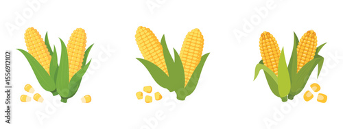 Vector illustration single and set of yellow corn in cartoon flat style. Cute corncob maize sign icon. Organic food, vegetables agriculture product. Restaurant menu concept