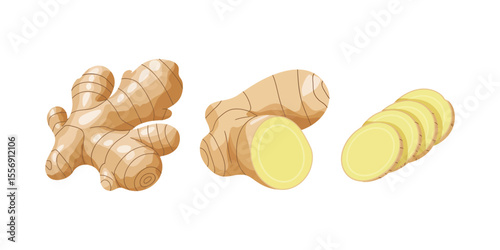 Vector illustration set of ginger root in cartoon flat style. Ginger rootcollection set. Artistic style colorful aromatic. Herbal spice. Detox food ingredient, natural herb plant, whole, sliced
