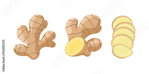 Vector illustration set of ginger root in cartoon flat style. Ginger rootcollection set. Artistic style colorful aromatic. Herbal spice. Detox food ingredient, natural herb plant, whole, sliced