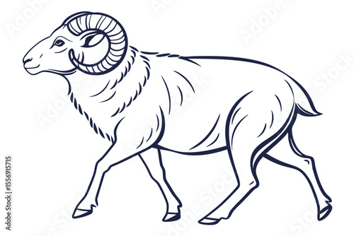 Domestic Sheep Standing on White in Farm Illustration