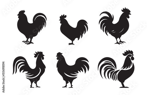 Black and White Chicken and Rooster Illustrations