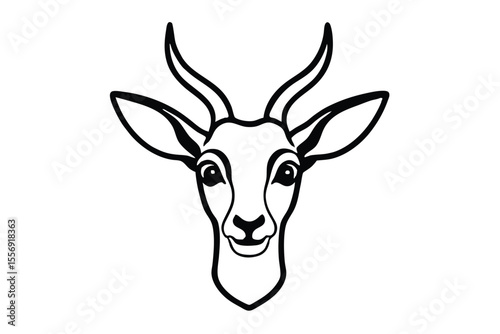 Bold black outlined springbok gazelle presents its distinctive horns and friendly gaze directly forward