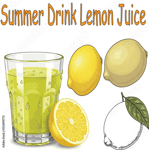 Summer lemon drink with slice, lemon juice and green leaf, refreshing citrus beverage vector, tropical lemonade illustration, cool yellow fruit drink for hot weather, healthy organic refreshment