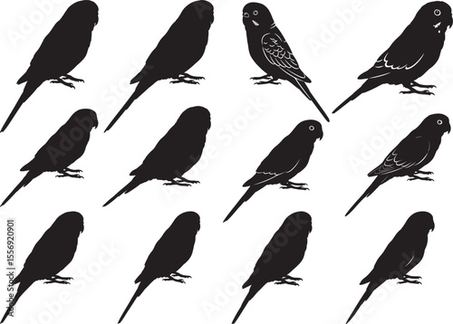 Parakeet Bird Icon Silhouette on White Background vector illustration