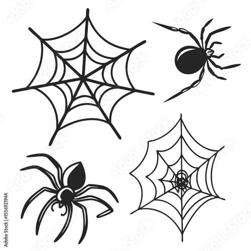 Black spiders and webs on white background arachnid insect