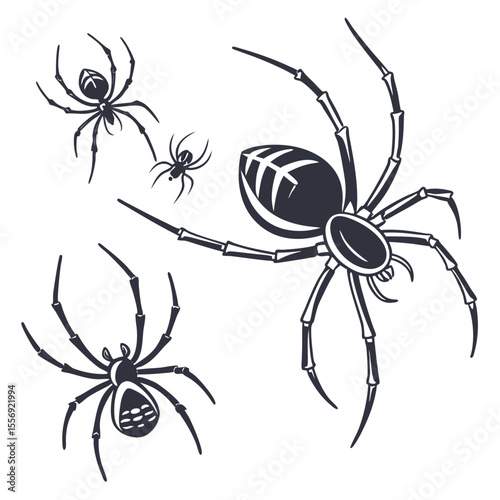 Dark spiders with detailed legs and bodies on white arachnid insect