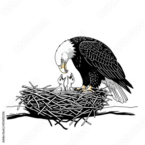 Eagle feeding its chicks in a nest made of twigs silhouette