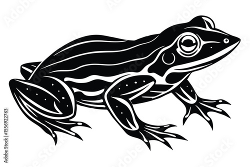 Black art presents a detailed frog illustration in striking monochrome simplicity