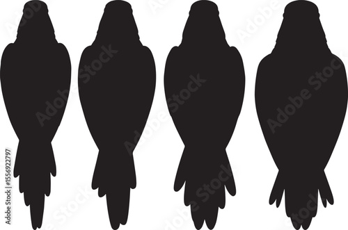 Parrot Back View Silhouette on White Background vector illustration