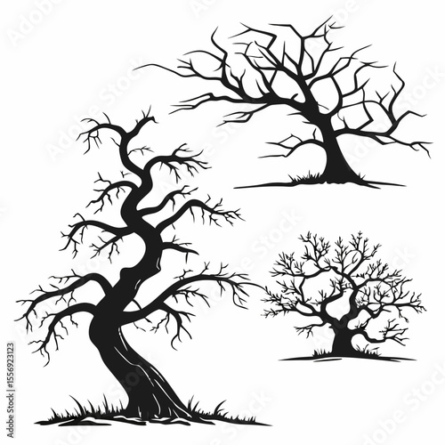 Twisted bare trees silhouette on clean white background twisted branches gnarled