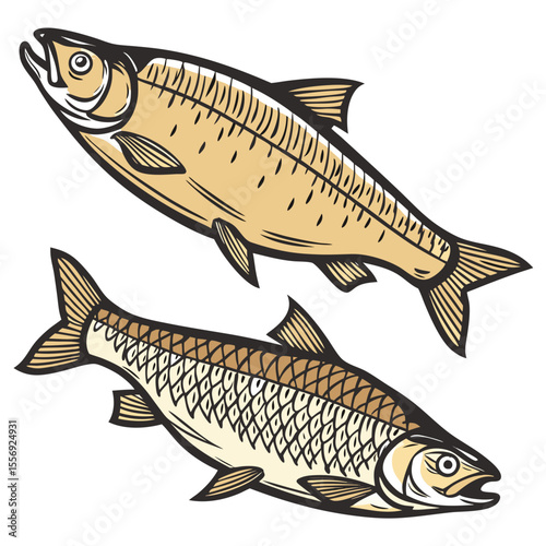 Two stylized fish with golden scales and black outlines seafood aquatic