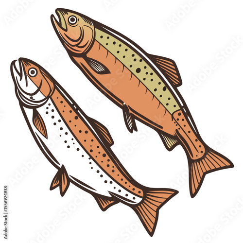 Two salmon fish swimming together food seafood
