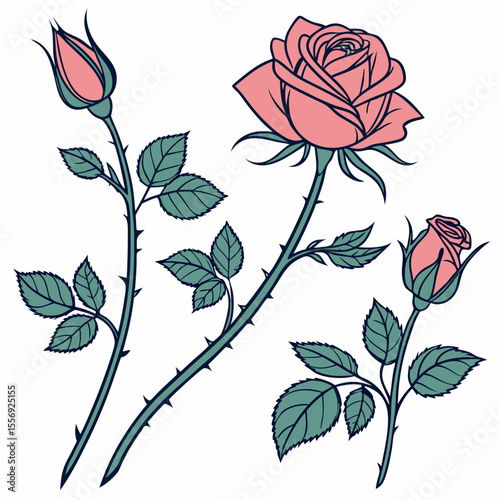 Pink roses with green leaves and stems flower