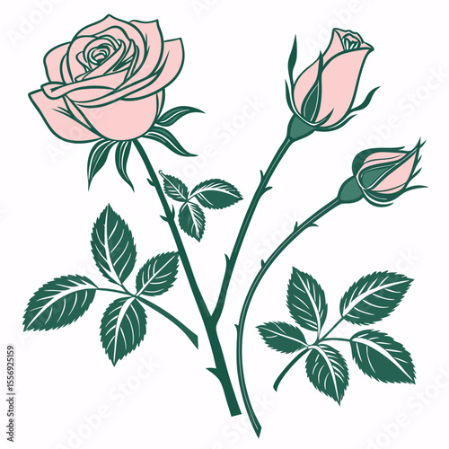 Pink roses with green leaves and stems rose buds floral