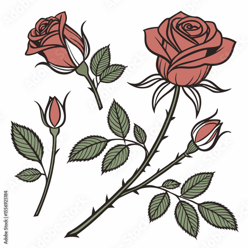 Red rose buds and blooming flowers with green leaves leaf
