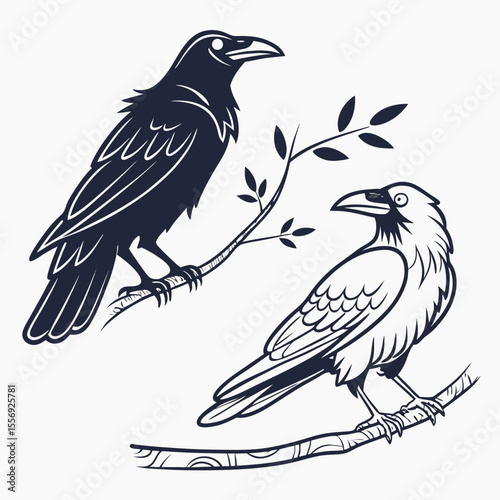 Two dark birds perched on branches crow raven