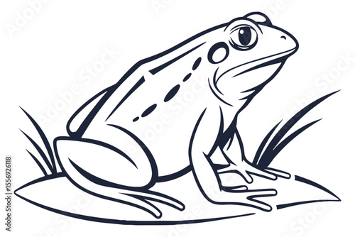Striking black and white captures an amphibian animal form and unique spotted design