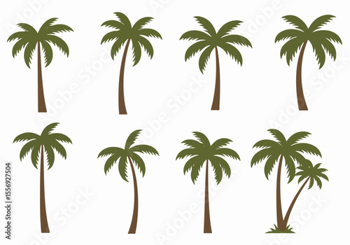 Collection of vector illustrations showing various stylized tropical palm trees on a white background, perfect for design elements.
