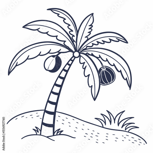 Tropical coconut palm tree with coconuts on sandy beach coconut tree
