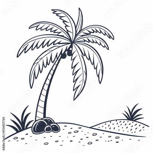 Tropical coconut palm tree on sandy beach with rocks coconut tree