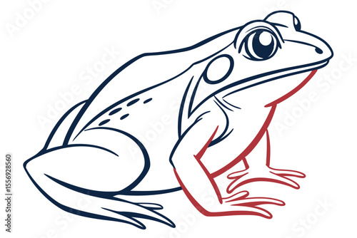 Striking black and white frog embodies amphibian elegance and minimalist design