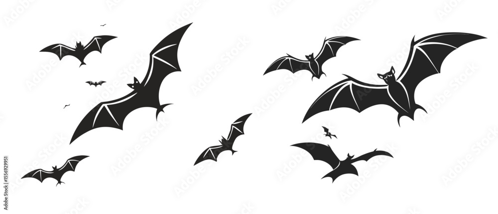 Obraz premium halloween bat and bats