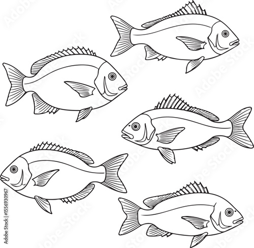 Hand-drawn fish sketch vector, detailed black and white line art of fish, vintage aquatic illustration, marine animal drawing, ocean wildlife graphic for seafood menu, logo, or educational use