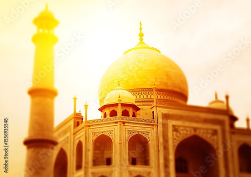 Taj Mahal majestic architecture detailed view