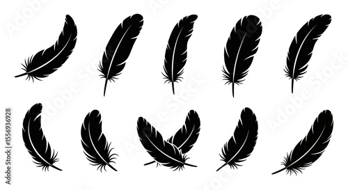 Black fluffy feather. Hand drawing vintage art realistic quill feathers for pen detailed isolated vector elegant silhouette sketch bird plume set