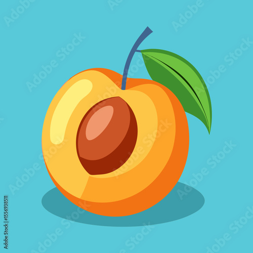 vector illustration of an orange fruit