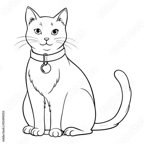 Sitting cat with collar and tag vector