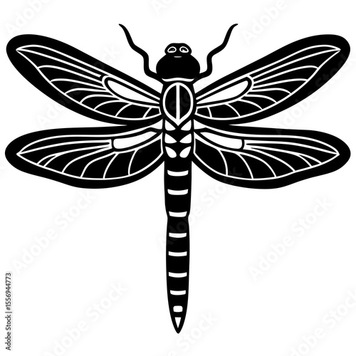 dragonfly on white background