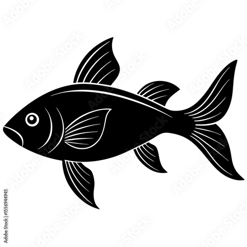 fish on a white background