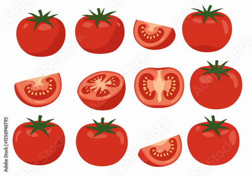 Vector illustration set of fresh tomatoes, whole, cut in half, and quarter slices, isolated on white background.