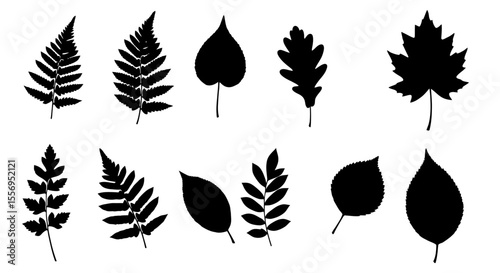 A vector icon set illustrating nature's floral design with diverse plant leaves, autumn trees, and delicate flower and butterfly silhouettes