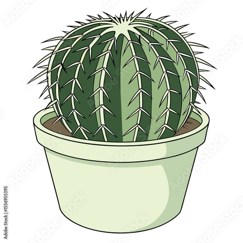 Potted barrel cactus plant, spiky desert flora, green houseplant, botanical art vector illustration


Keywords: