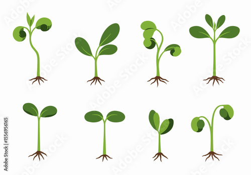 Flat vector illustration of various green plant sprouts and seedlings with roots, depicting different stages of germination and early growth on white.