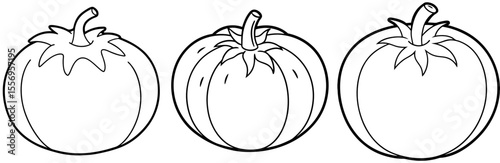 Pumpkin Coloring Pages Bundle – Black and White Fall Harvest Pumpkin Line Art for Kids and Adults, Printable Autumn Coloring Book, Halloween Activity Sheets