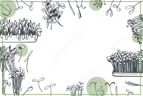 Hand-drawn microgreens set. Vector background. Sketch  illustration.  