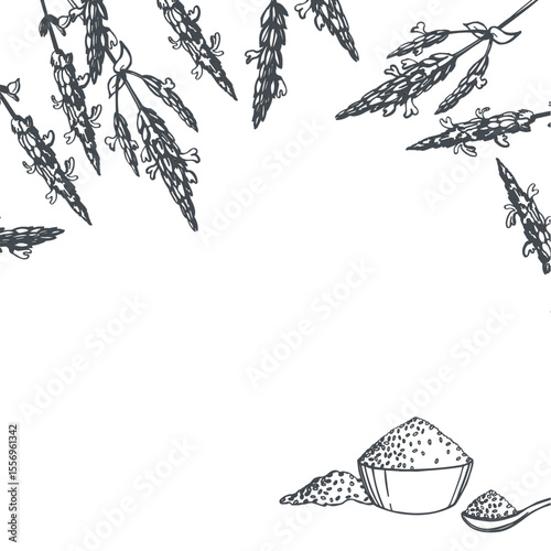 Hand-drawn chia seeds. Vector background. Sketch  illustration.  
