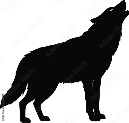 lone wolf howling at the moon, its silhouette stark against