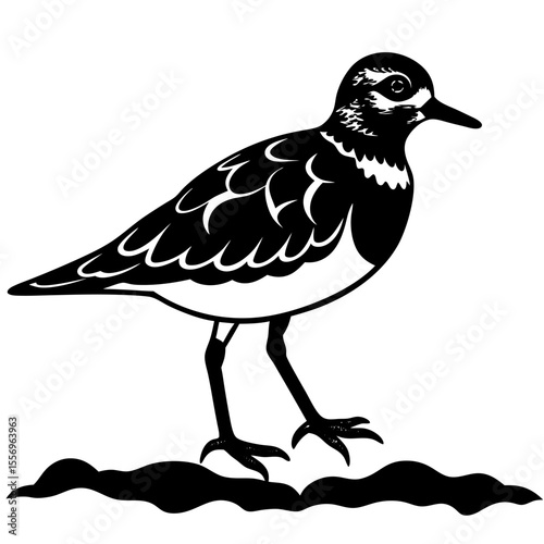 Stylized black and white illustration of a shorebird standing on wavy ground