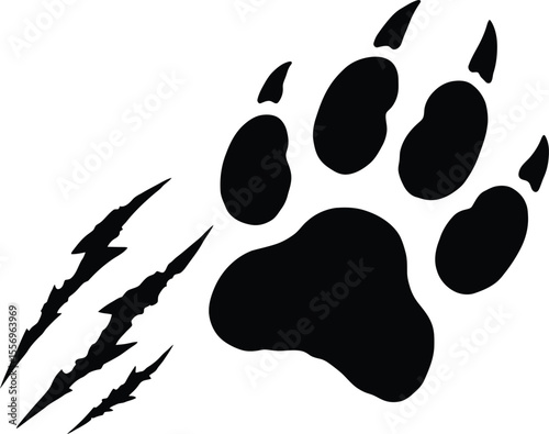 Animal Paw Print with Claw Marks Silhouette

