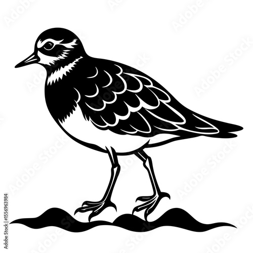 Black and white illustration of a turnstone bird standing on wavy ground