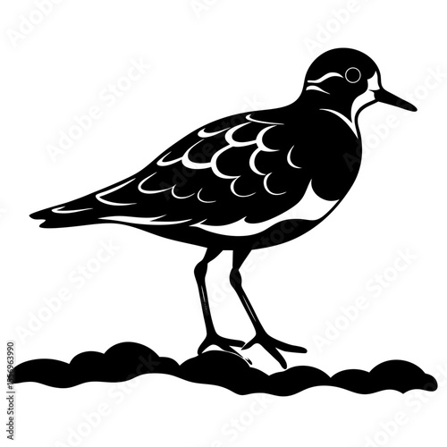 Stylized black silhouette of a shorebird standing on a textured ground