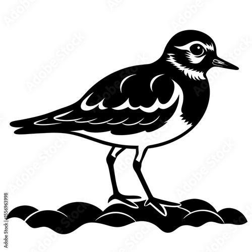 Stylized black and white illustration of a shorebird standing on wavy ground