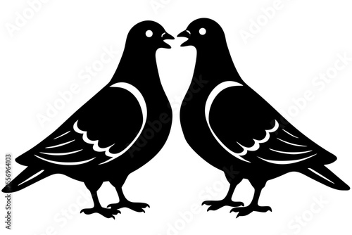 Two black pigeons facing each other with open beaks on a white background