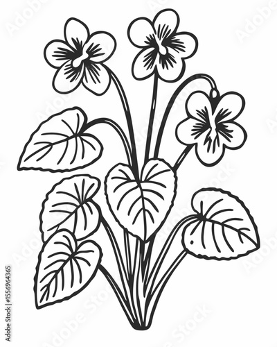 Simple black and white line drawing of a bunch of violets with leaves
