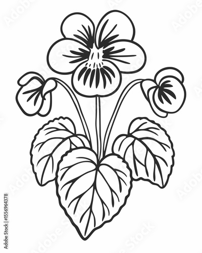 Elegant black and white line drawing of a blooming violet flower with leaves and buds