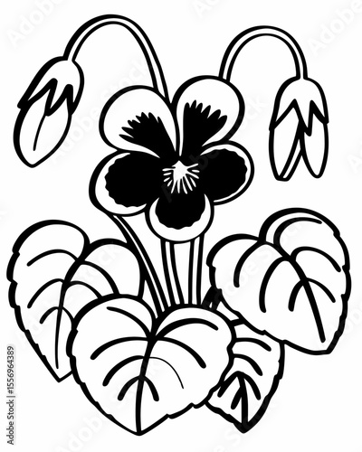 Black and white illustration of a blooming pansy flower with leaves and buds